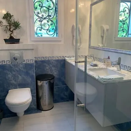 Centre Piscine ヴィラ カンヌ