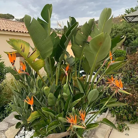 Centre Piscine Villa