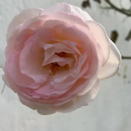 Centre Piscine Κάννες